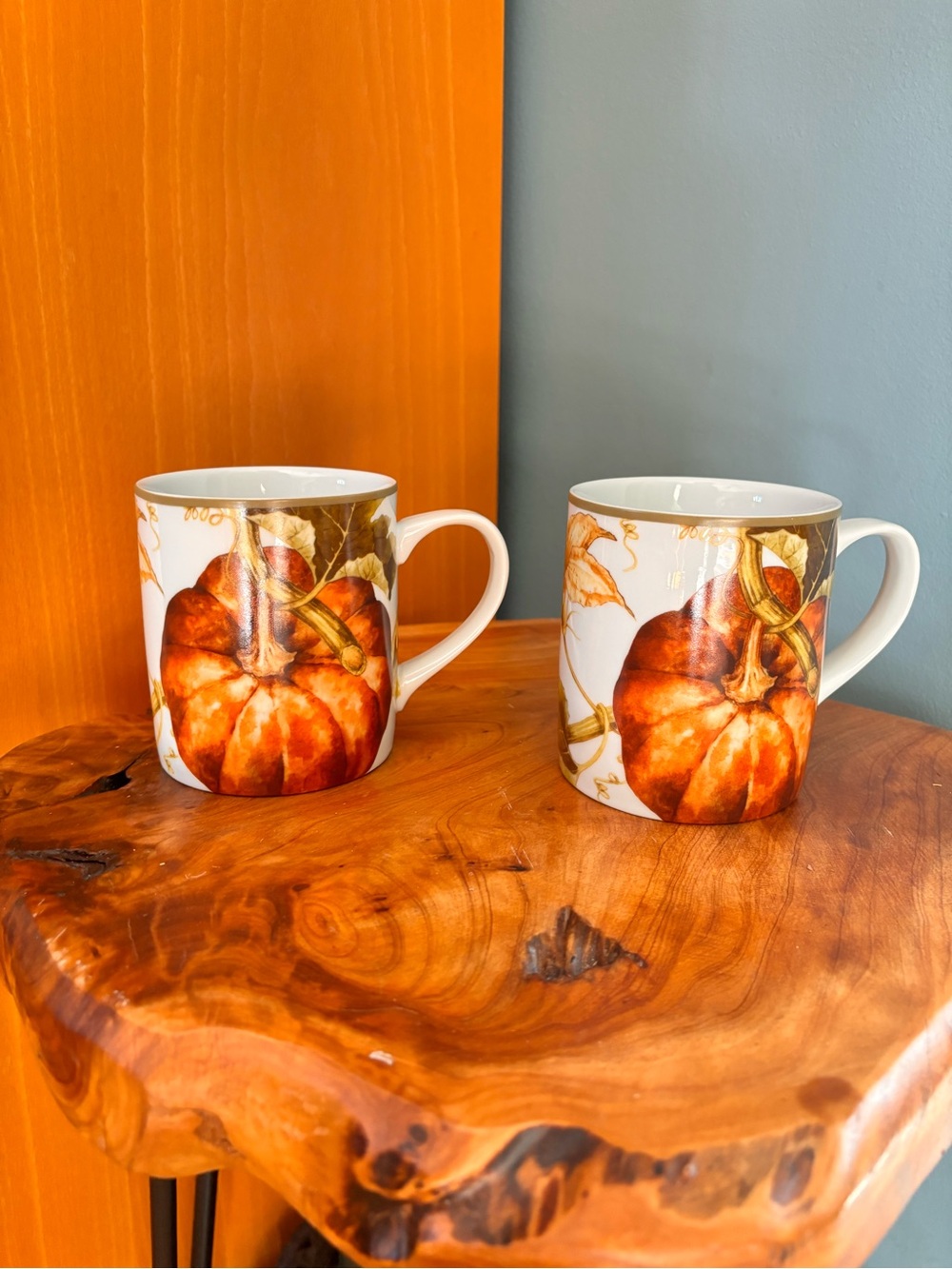 Williams Sonoma Pumpkin Motif Ceramic Mug - White and Orange